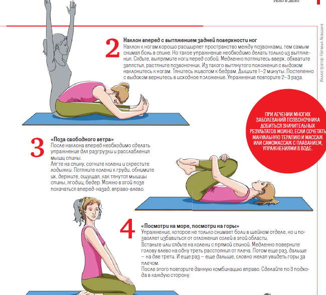Комплекс упражнений для профилактики болей в спине и шее