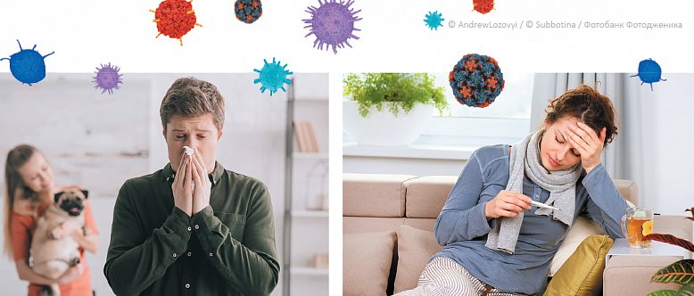 Простуда и воспаление, грипп и аллергическая реакция: какая между ними связь?